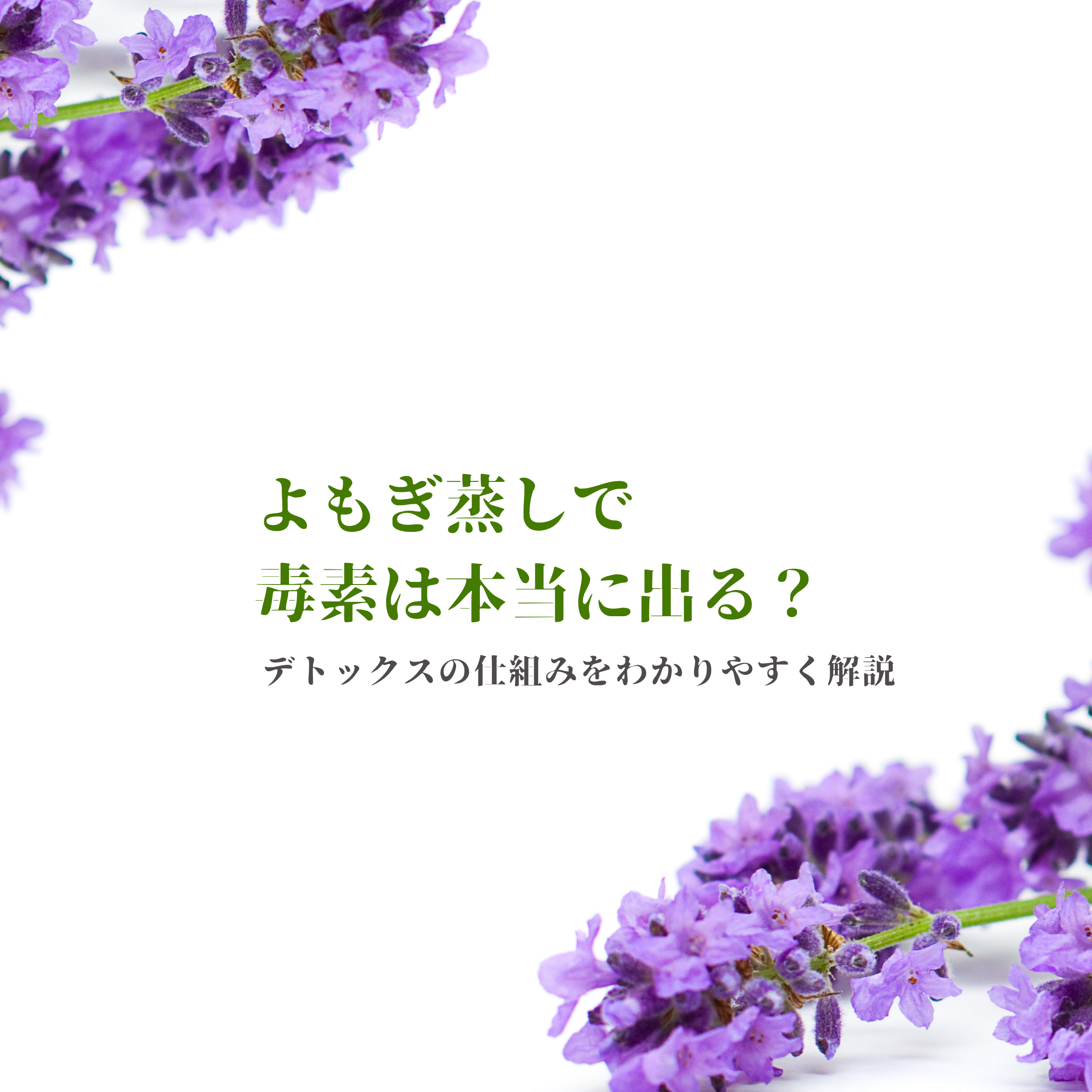よもぎ蒸しで毒素は本当に出る？デトックスの仕組みをわかりやすく解説
